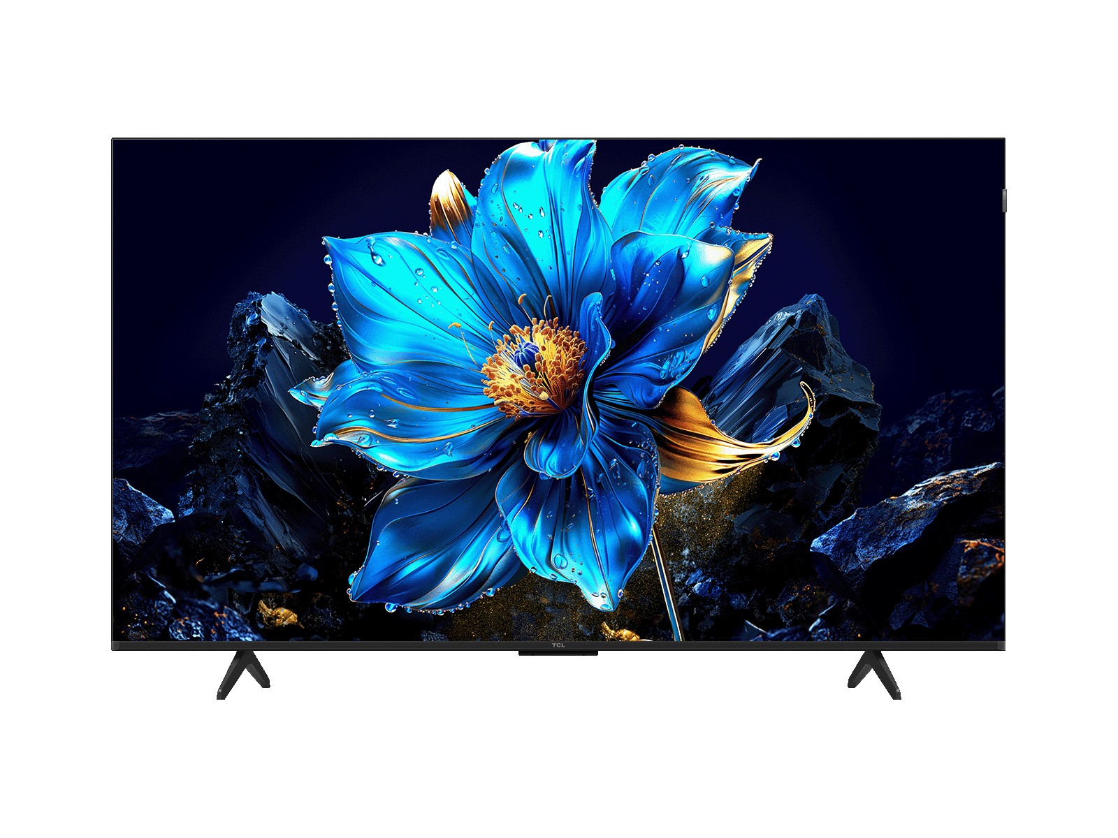 TCL T6C 55"